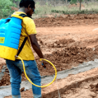 anti-termite-banner-4